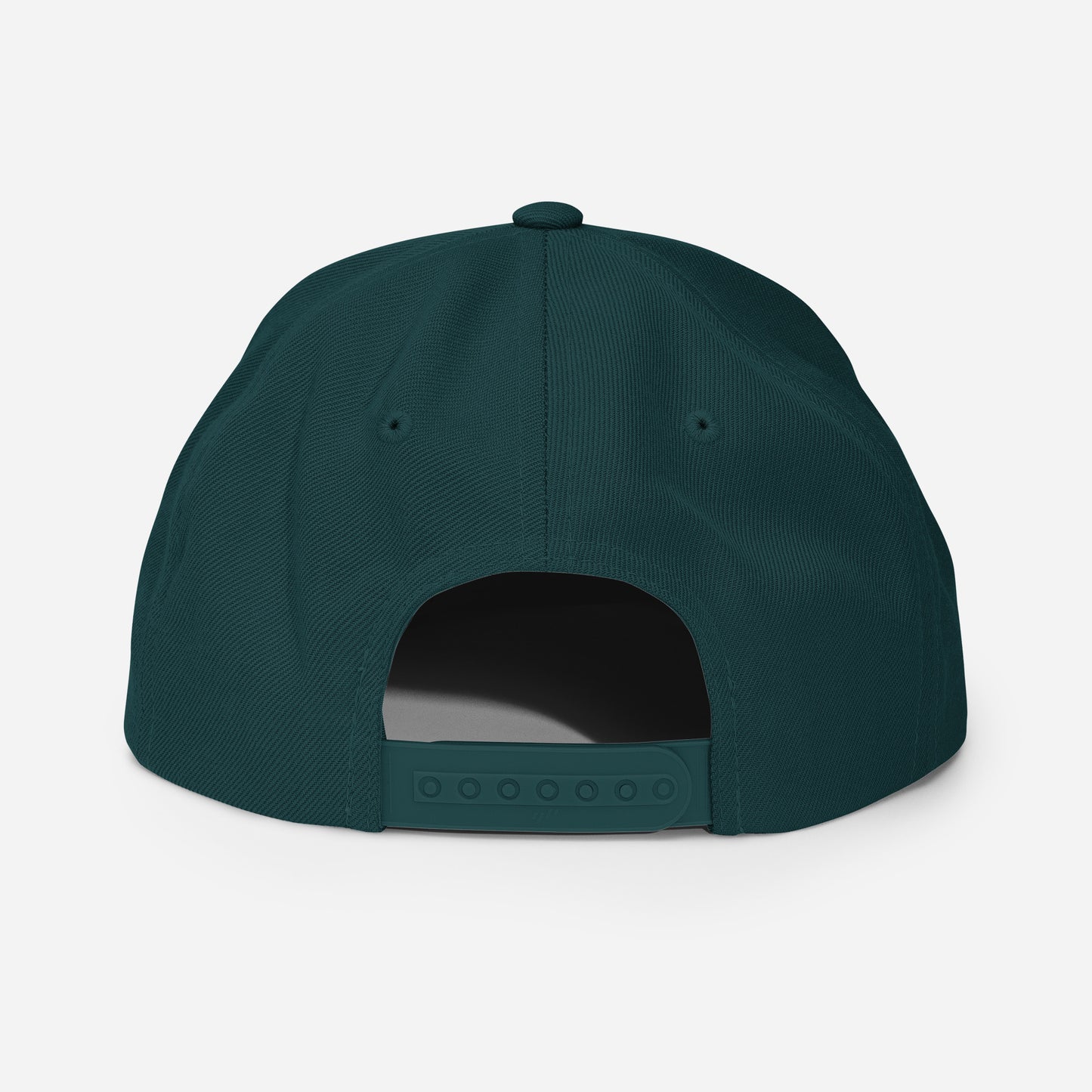 Routeagonia - Mountainous Snapback Hat