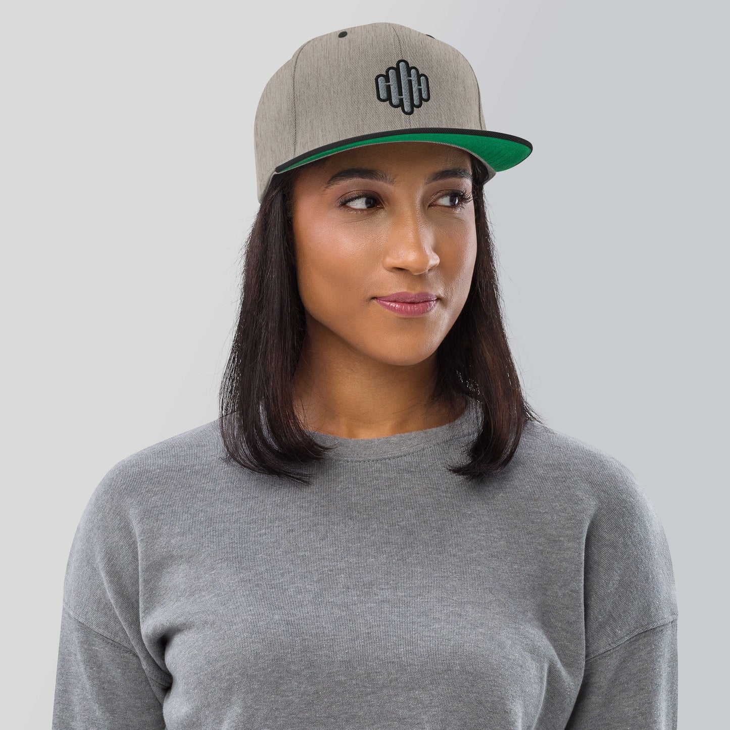 RouteThis Boring Grey Snapback Hat